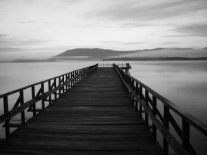 Muelles