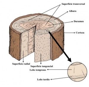 Propiedades de la madera
