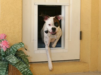 Cómo instalar una puerta para mascotas